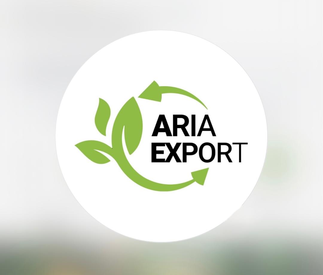 آریا اکسپورت