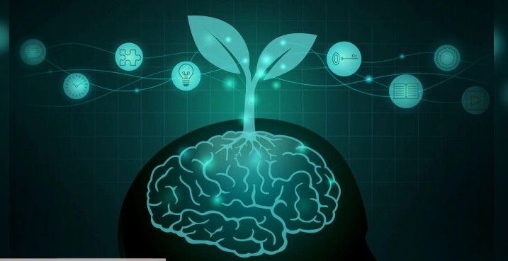 مشاوره فردی و بالینی