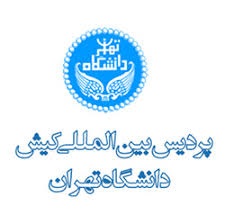 دانشگاه بین المللی پردیس